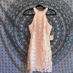 Love Poem Blush Pink Lace Dress